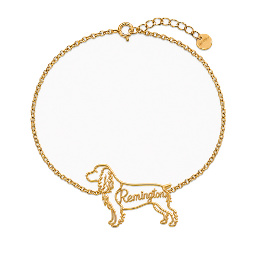 Boykin-Spaniel_Remington_Gold_DirectHook.png