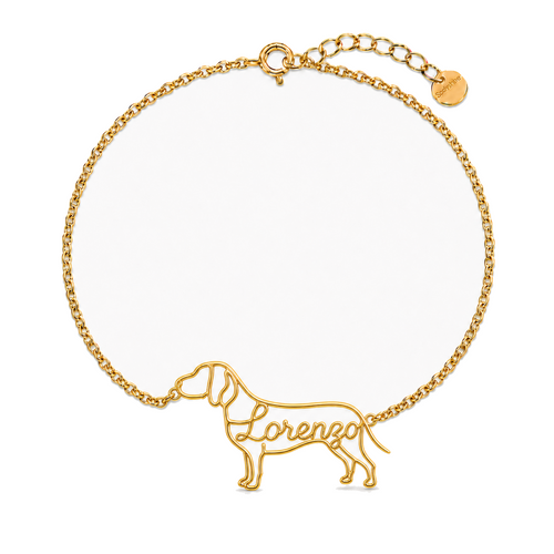Bracco-Italiano_Lorenzo_Gold_DirectHook.png