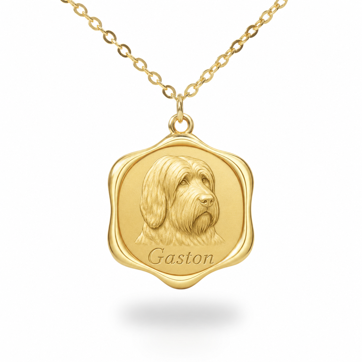 Soulyshine Briard Precious Paw personalized pet photo necklace - 18K Gold Vermeil front
