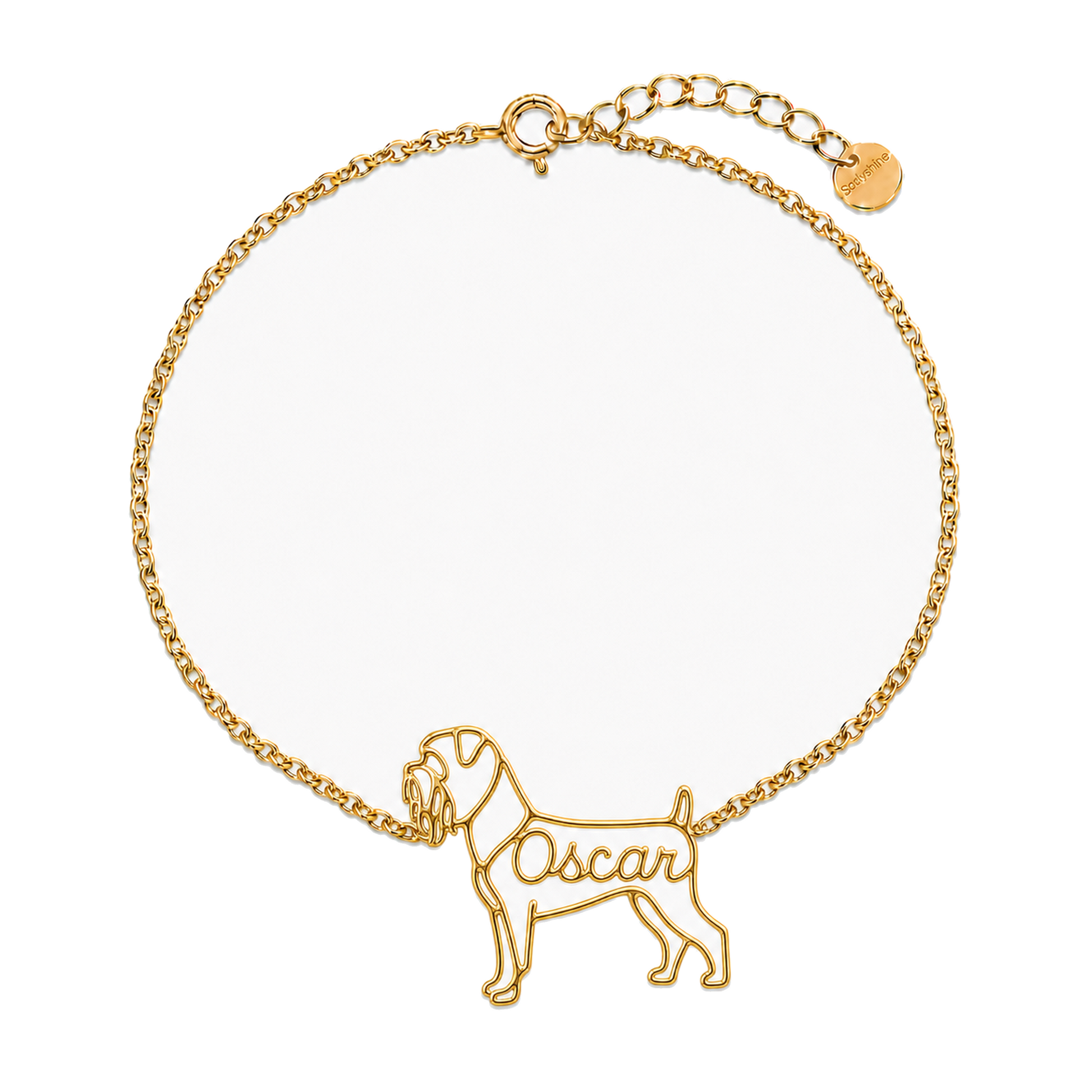 Brussels-Griffon-rough-coat_Oscar_Gold_DirectHook.png