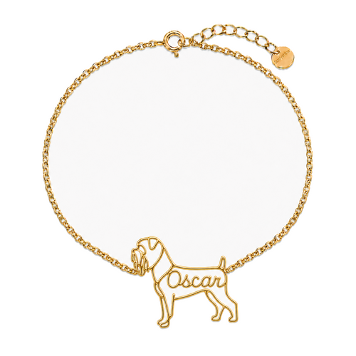 Brussels-Griffon-rough-coat_Oscar_Gold_DirectHook.png