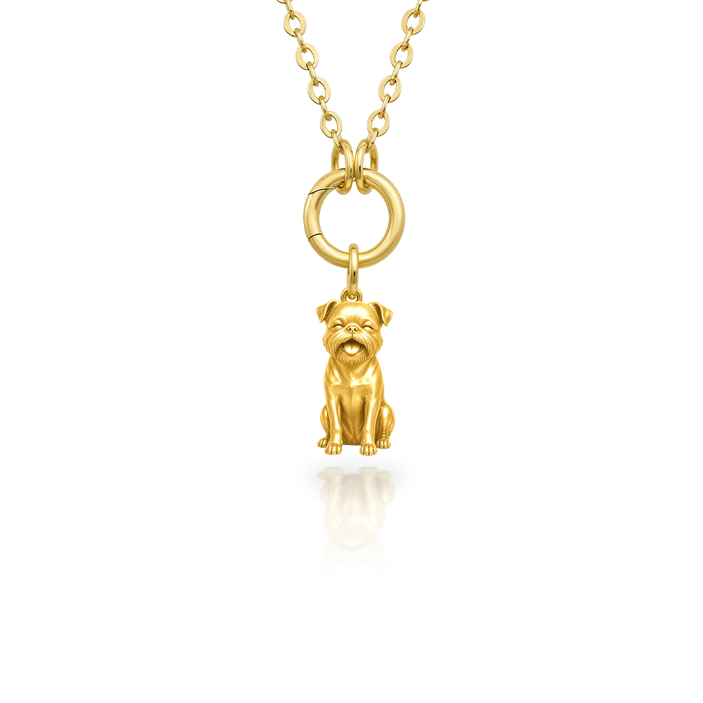 Brussels-Griffon-smooth-coat - 18K Gold Vermeil - 1st