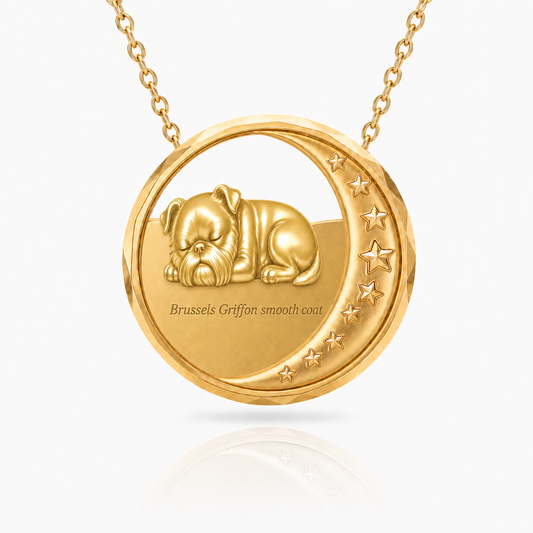SoulyShine Brussels Griffon smooth coat Starry Slumber – Personalized Pet in The Moon Necklace - 18K Gold Vermeil front