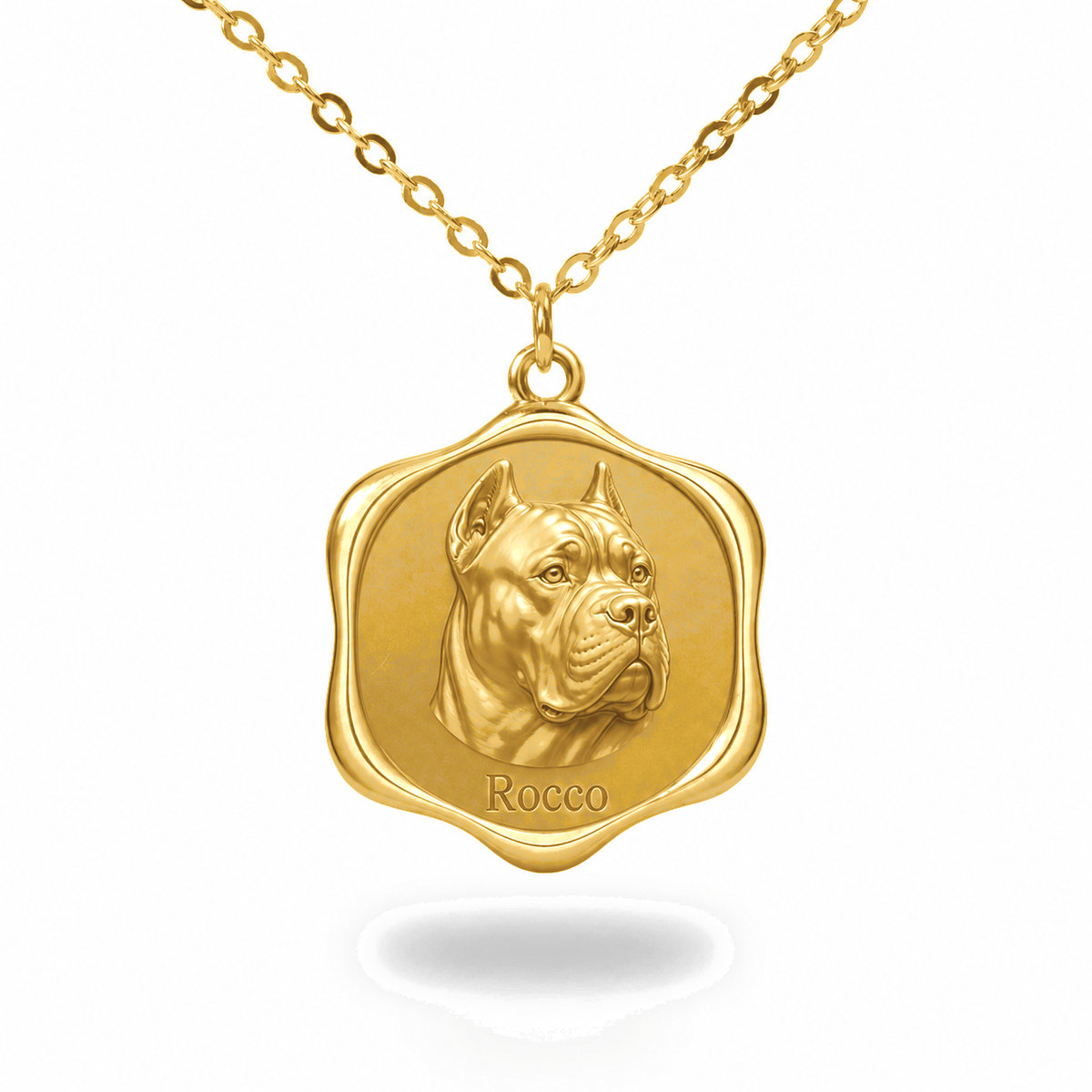 Soulyshine Cane Corso Precious Paw personalized pet photo necklace - 18K Gold Vermeil front