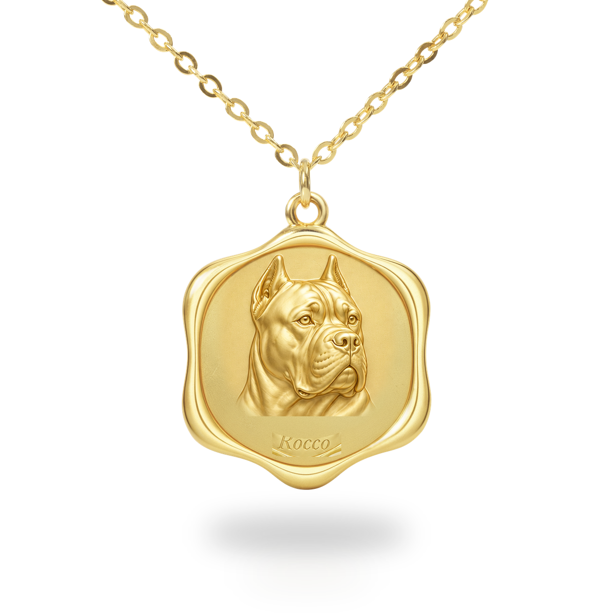 Soulyshine Cane Corso Precious Paw personalized pet photo necklace - 18K Gold Vermeil front