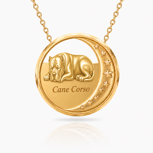 SoulyShine Cane Corso Starry Slumber – Personalized Pet in The Moon Necklace - 18K Gold Vermeil front
