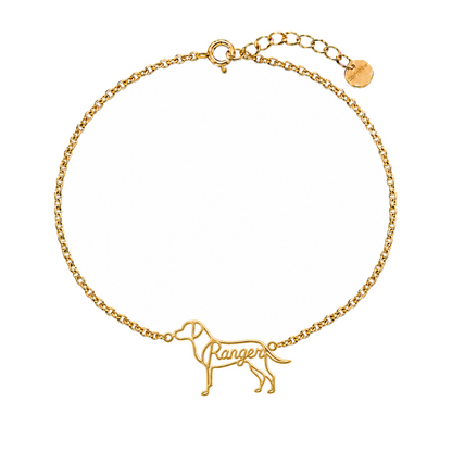 Catahoula-Leopard-Dog_Ranger_Gold.png