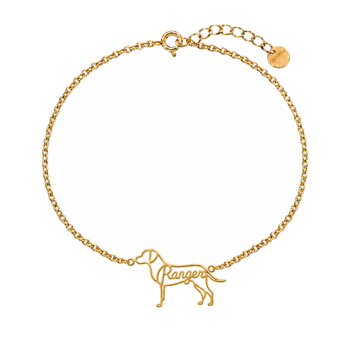 Catahoula-Leopard-Dog_Ranger_Gold.png