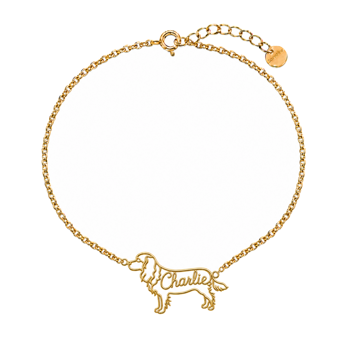 Cavalier-King-Charles-Spaniel_Charlie_Gold.png
