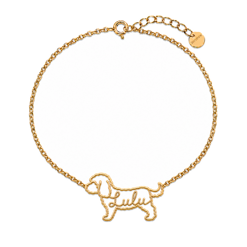 Cavapoo_Lulu_Gold.png