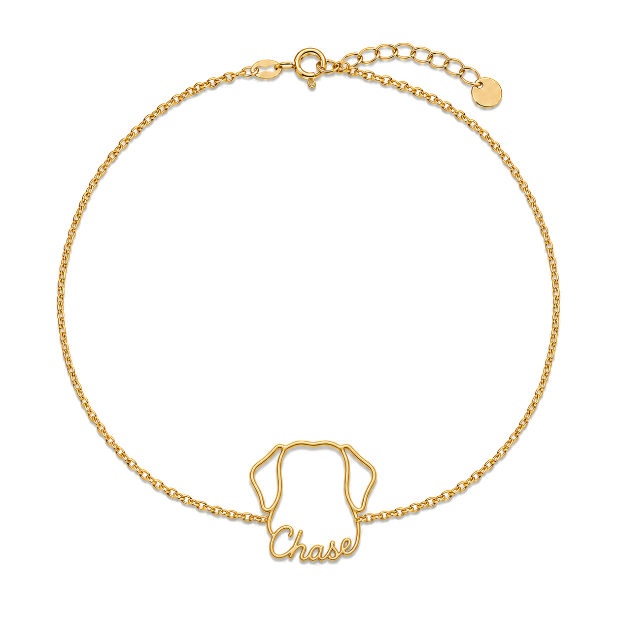 Soulyshine Chesapeake Bay Retriever Whisper Outline pet face and Chase name handcrafted bracelet - 18K Gold Vermeil front