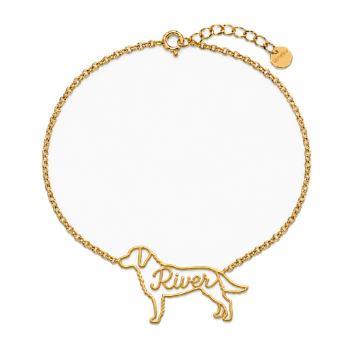 Chesapeake-Bay-Retriever_River_Gold.png