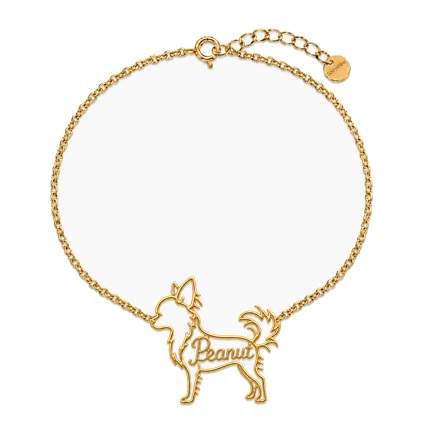 Chihuahua-long-hair_Peanut_Gold.png
