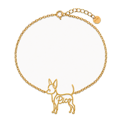 Chihuahua-short-hair_Pico_Gold.png