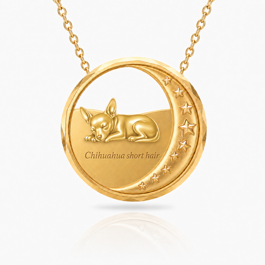 SoulyShine Chihuahua short hair Starry Slumber – Personalized Pet in The Moon Necklace - 18K Gold Vermeil front
