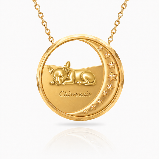 SoulyShine Chiweenie Starry Slumber – Personalized Pet in The Moon Necklace - 18K Gold Vermeil front