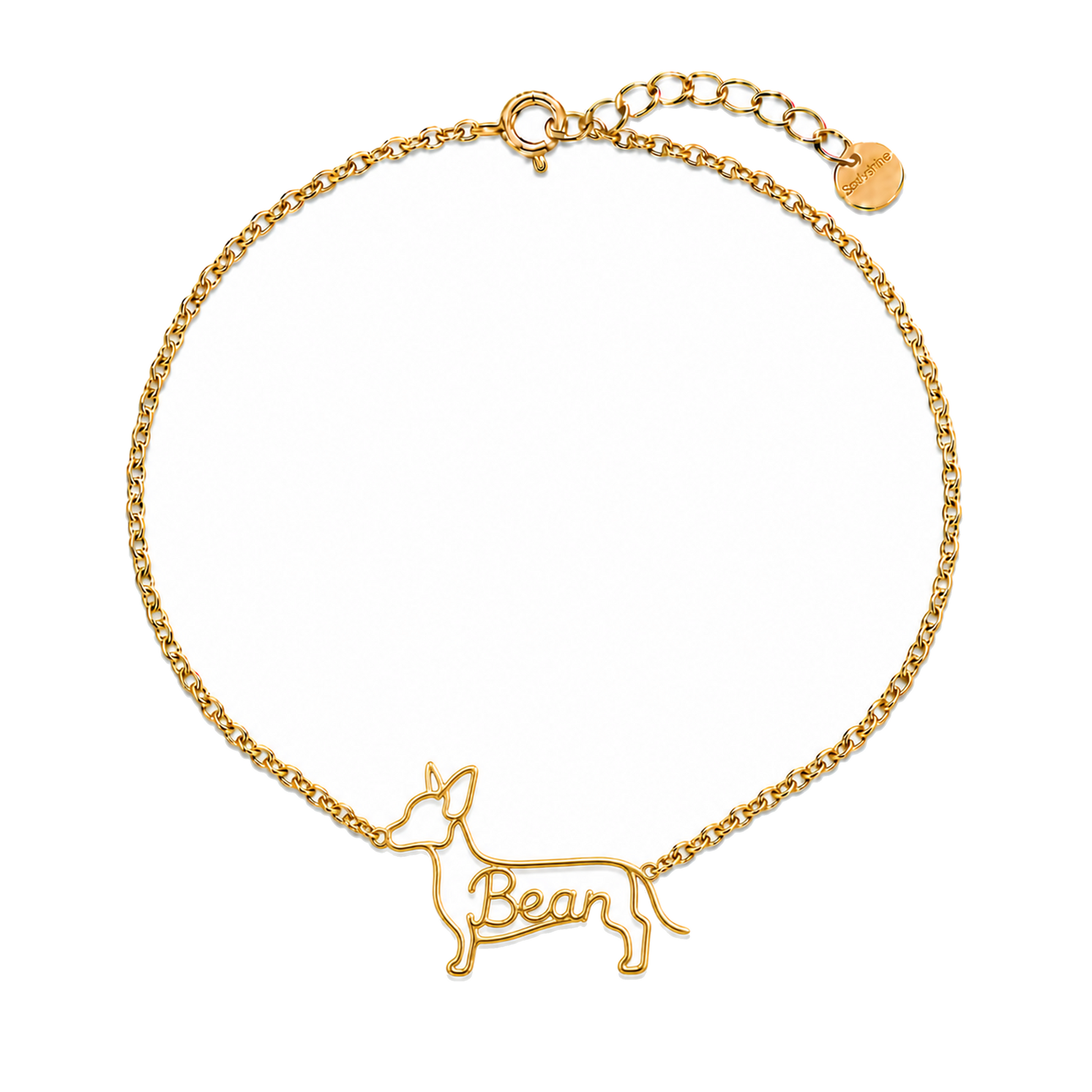Chiweenie_Bean_Gold.png