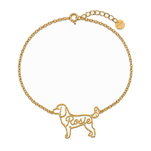 Cockapoo_Rosie_Gold.png