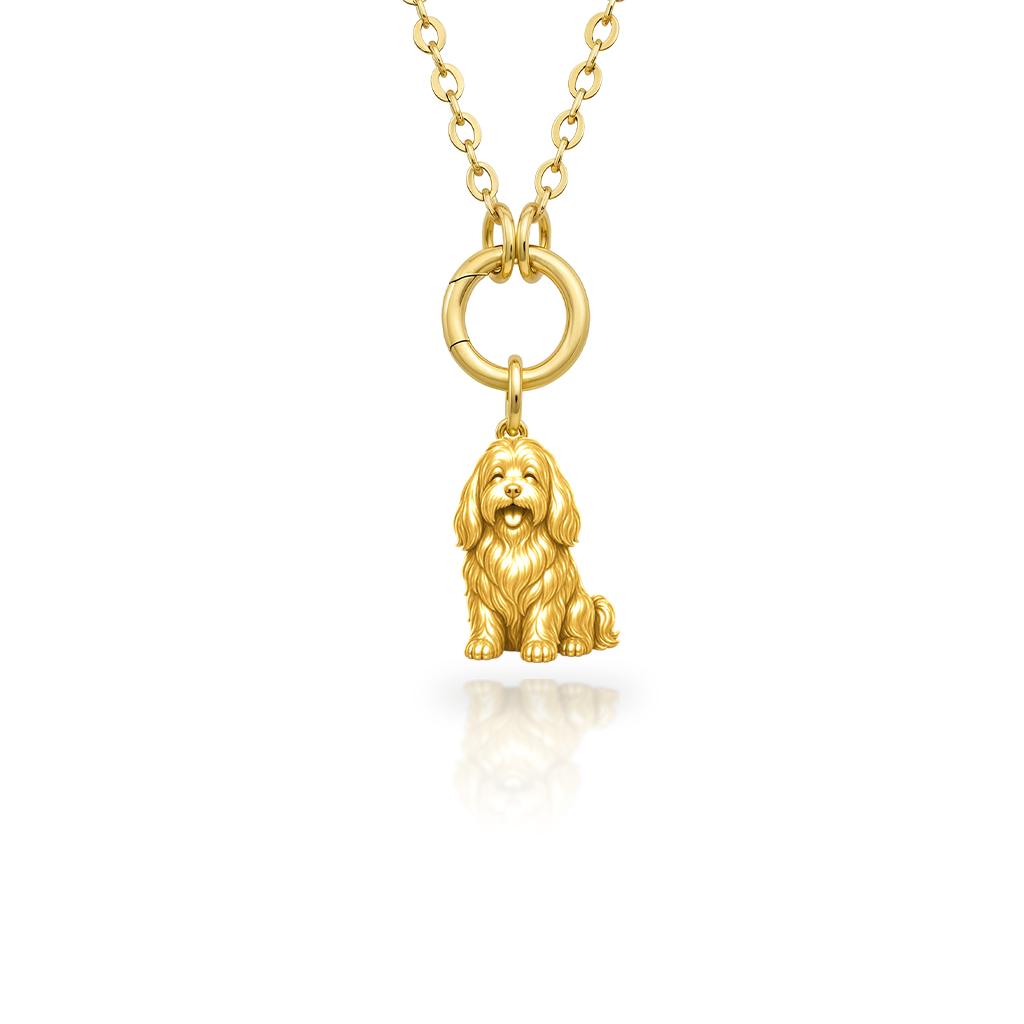 Coton-de-Tulear - 18K Gold Vermeil - 1st