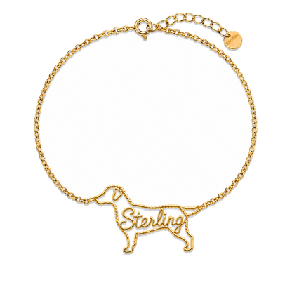 Curly-Coated-Retriever_Sterling_Gold.png