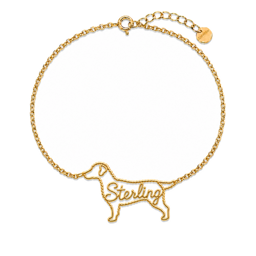 Curly-Coated-Retriever_Sterling_Gold.png
