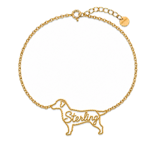 Curly-Coated-Retriever_Sterling_Gold.png