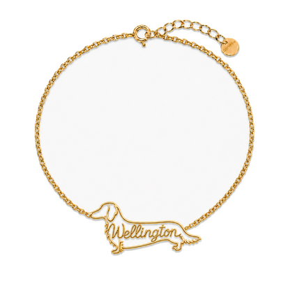 Dachshund-longhair_Wellington_Gold.png