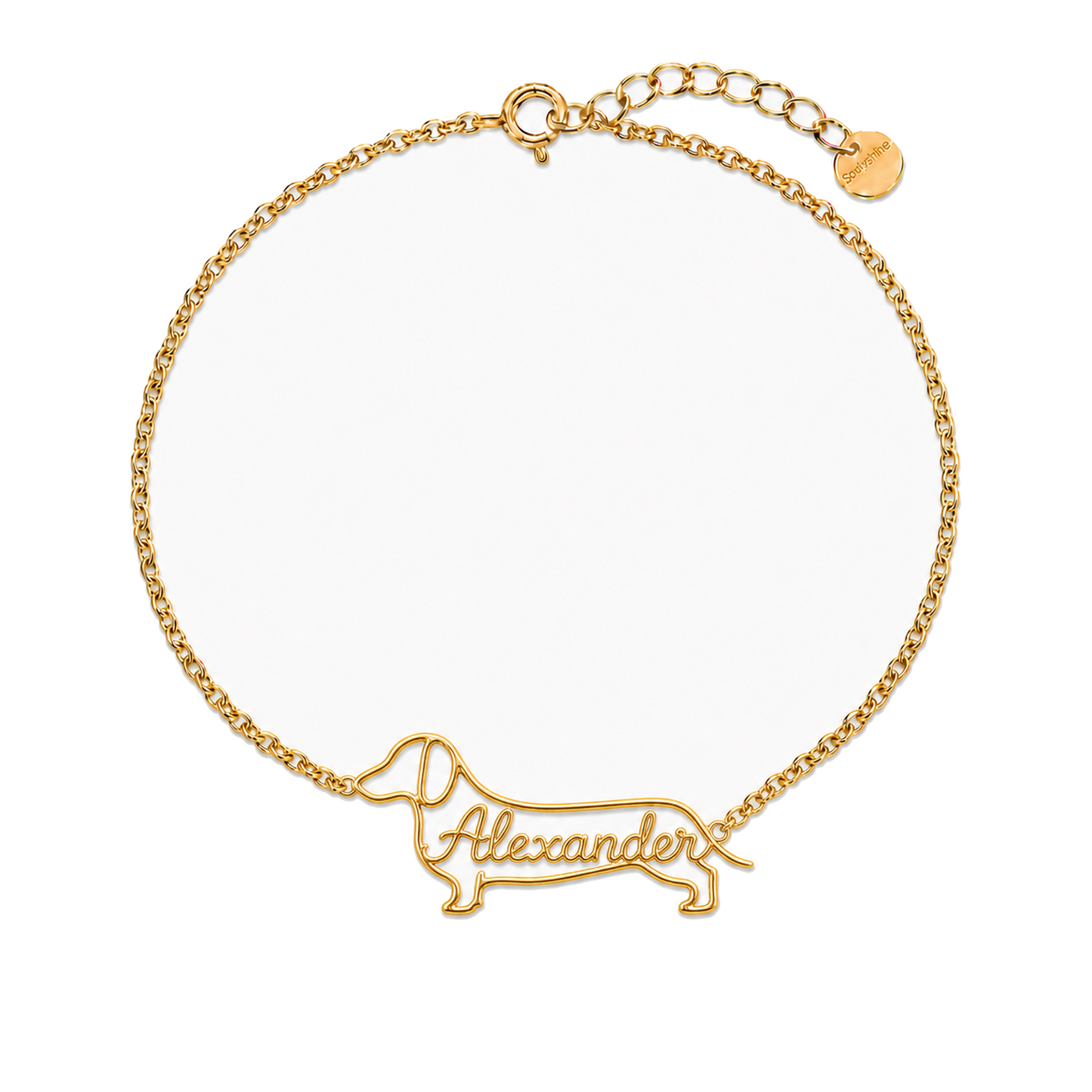 Dachshund-smooth-coat_Alexander_Gold.png