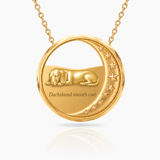 SoulyShine Dachshund smooth coat Starry Slumber – Personalized Pet in The Moon Necklace - 18K Gold Vermeil front