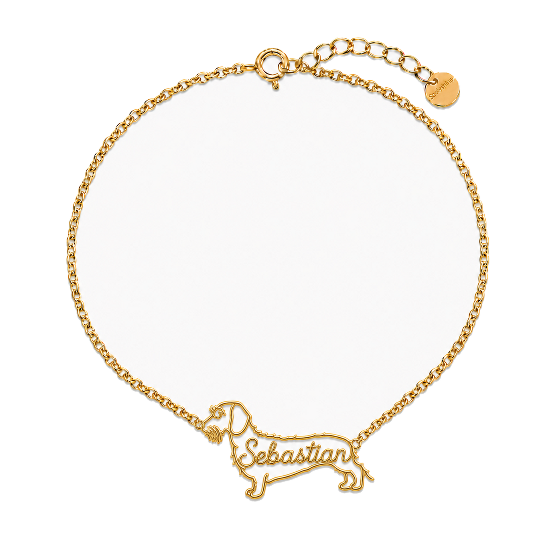 Dachshund-wirehaired_Sebastian_Gold.png