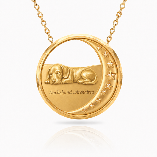 SoulyShine Dachshund wirehaired Starry Slumber – Personalized Pet in The Moon Necklace - 18K Gold Vermeil front