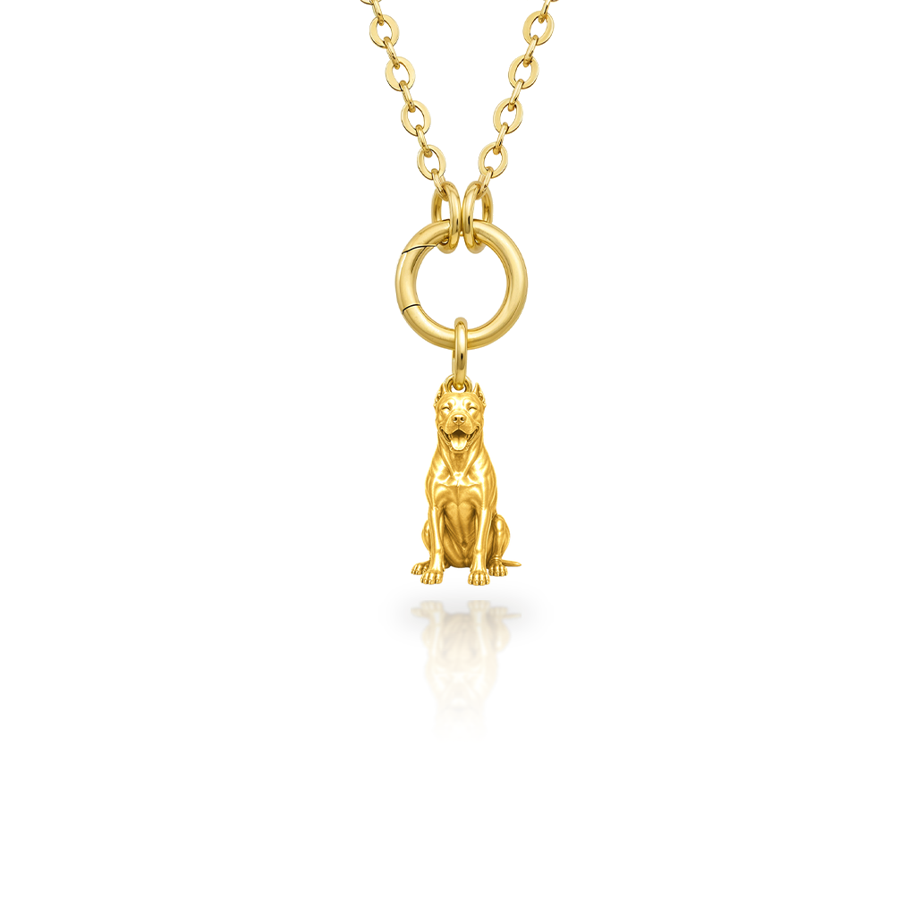 Dogo-Argentino - 18K Gold Vermeil - 1st
