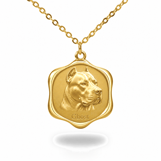 Soulyshine Dogo Argentino Precious Paw personalized pet photo necklace - 18K Gold Vermeil front