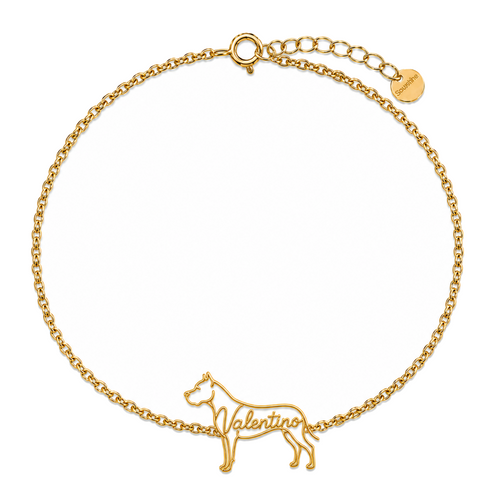 Dogo-Argentino_Valentino_Gold.png