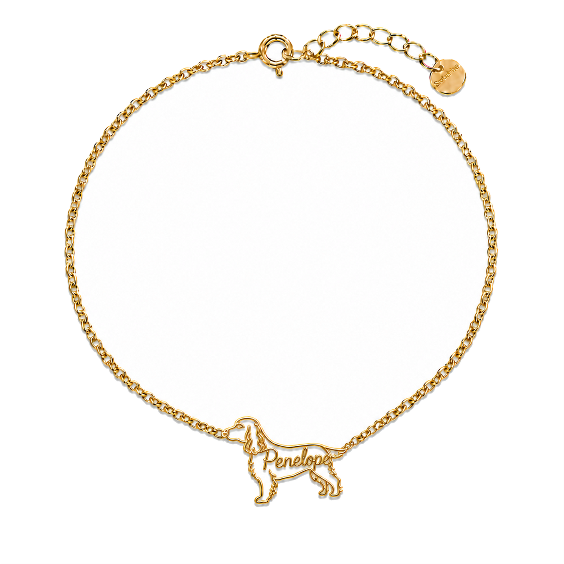 English-Cocker-Spaniel_Penelope_Gold.png