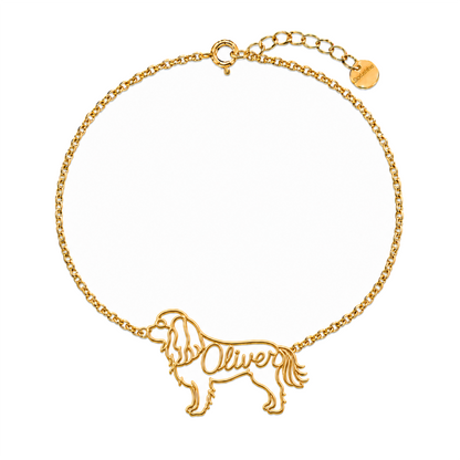 English-Toy-Spaniel_Oliver_Gold.png