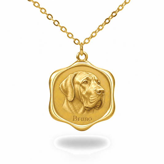 Soulyshine Fila Brasileiro Precious Paw personalized pet photo necklace - 18K Gold Vermeil front