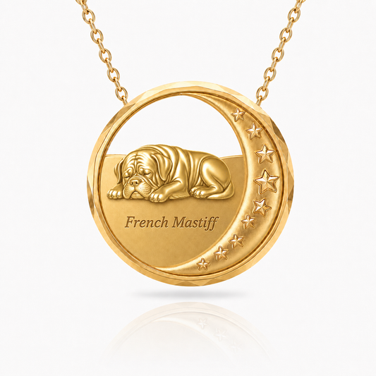 SoulyShine French Mastiff Starry Slumber – Personalized Pet in The Moon Necklace - 18K Gold Vermeil front