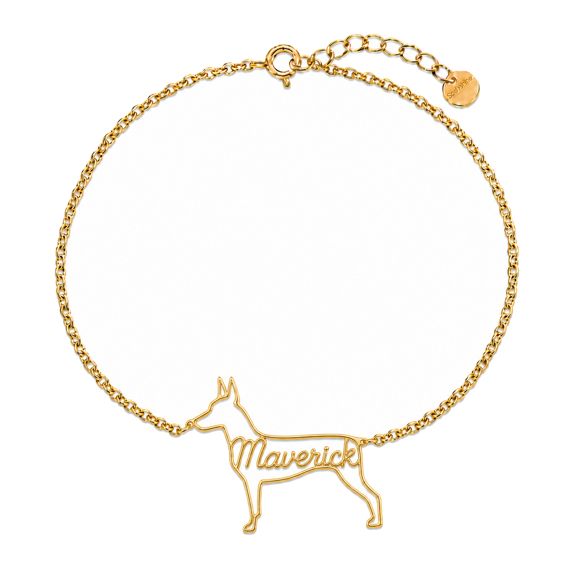 German-Pinscher_Maverick_Gold.png
