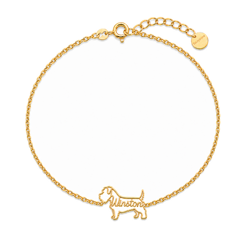 Glen-of-Imaal-Terrier_Winston_Gold.png