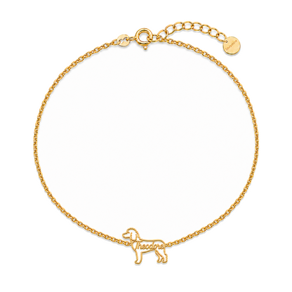 Goldendoodle-standard_Theodore_Gold.png