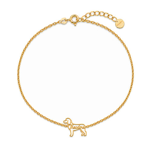 Goldendoodle-standard_Theodore_Gold.png