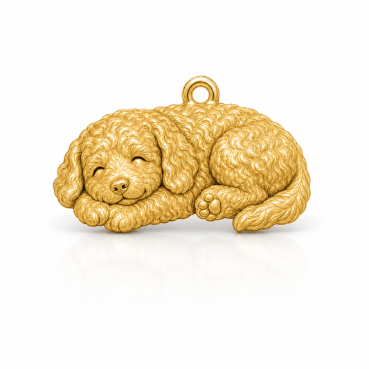Goldendoodle mini 01-mockup-white-1254