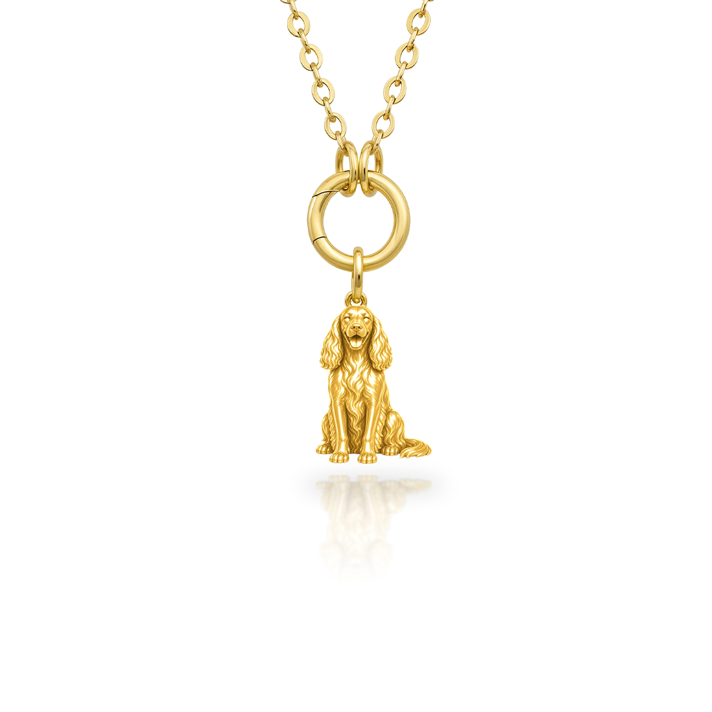 Gordon-Setter - 18K Gold Vermeil - 1st