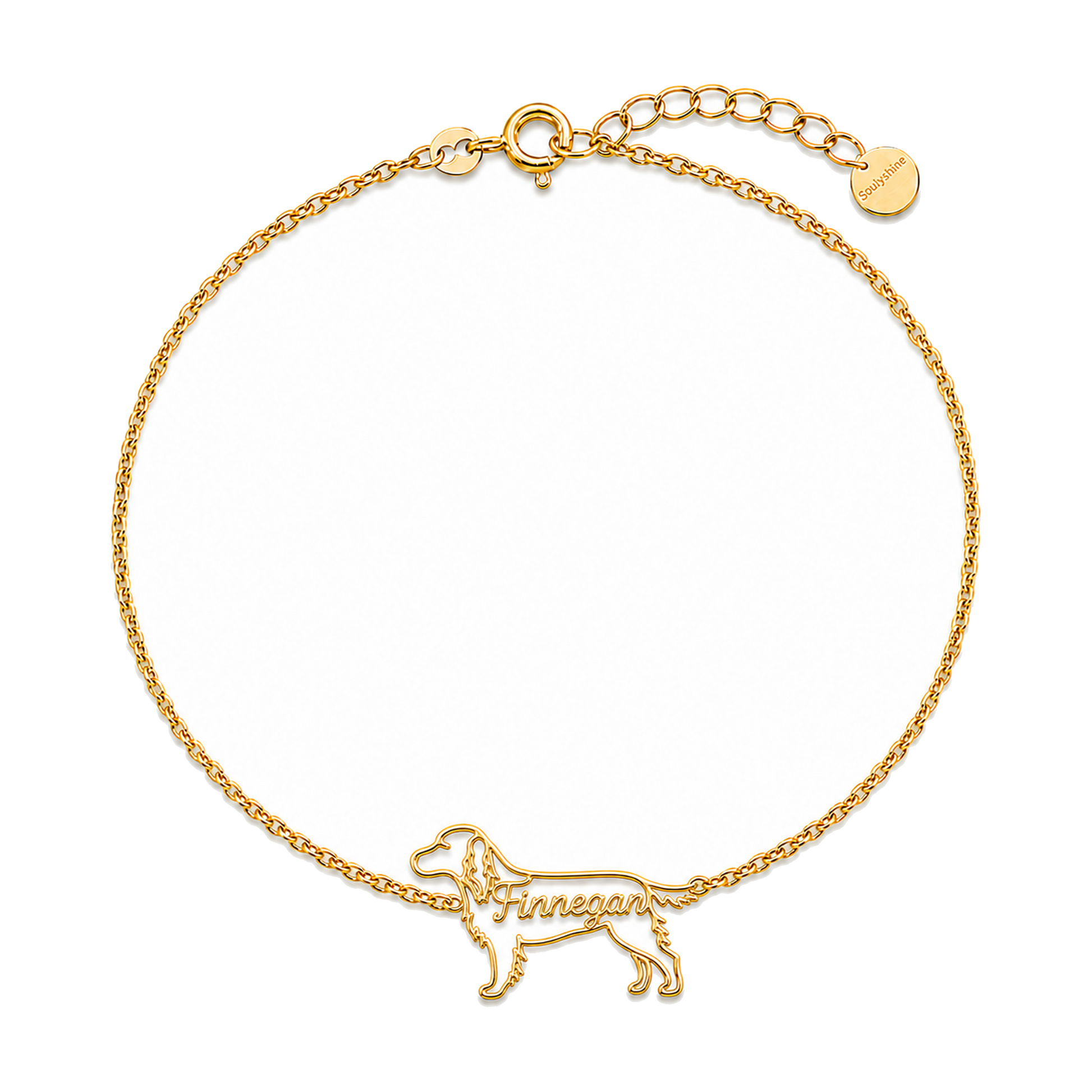 Gordon-Setter_Finnegan_Gold.png
