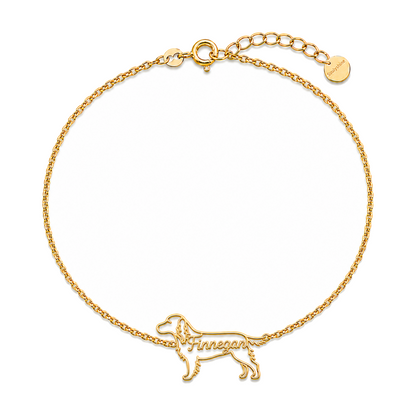 Gordon-Setter_Finnegan_Gold.png