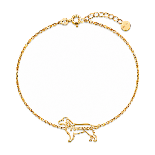 Gordon-Setter_Finnegan_Gold.png