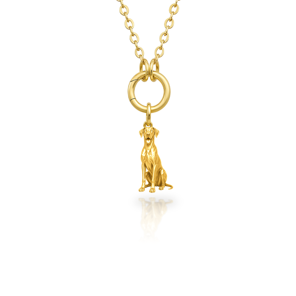 Great-Dane-natural-ears - 18K Gold Vermeil - 1st