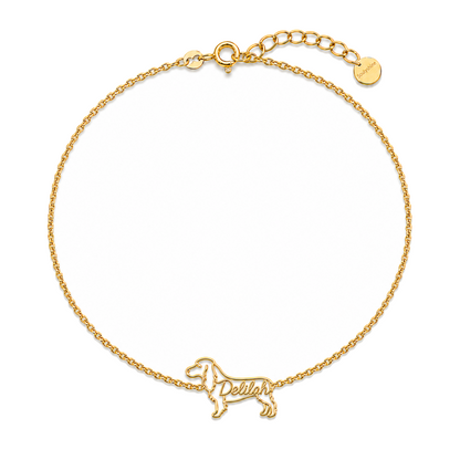 Greater-Swiss-Mountain-Dog_Bernadette_Gold.png