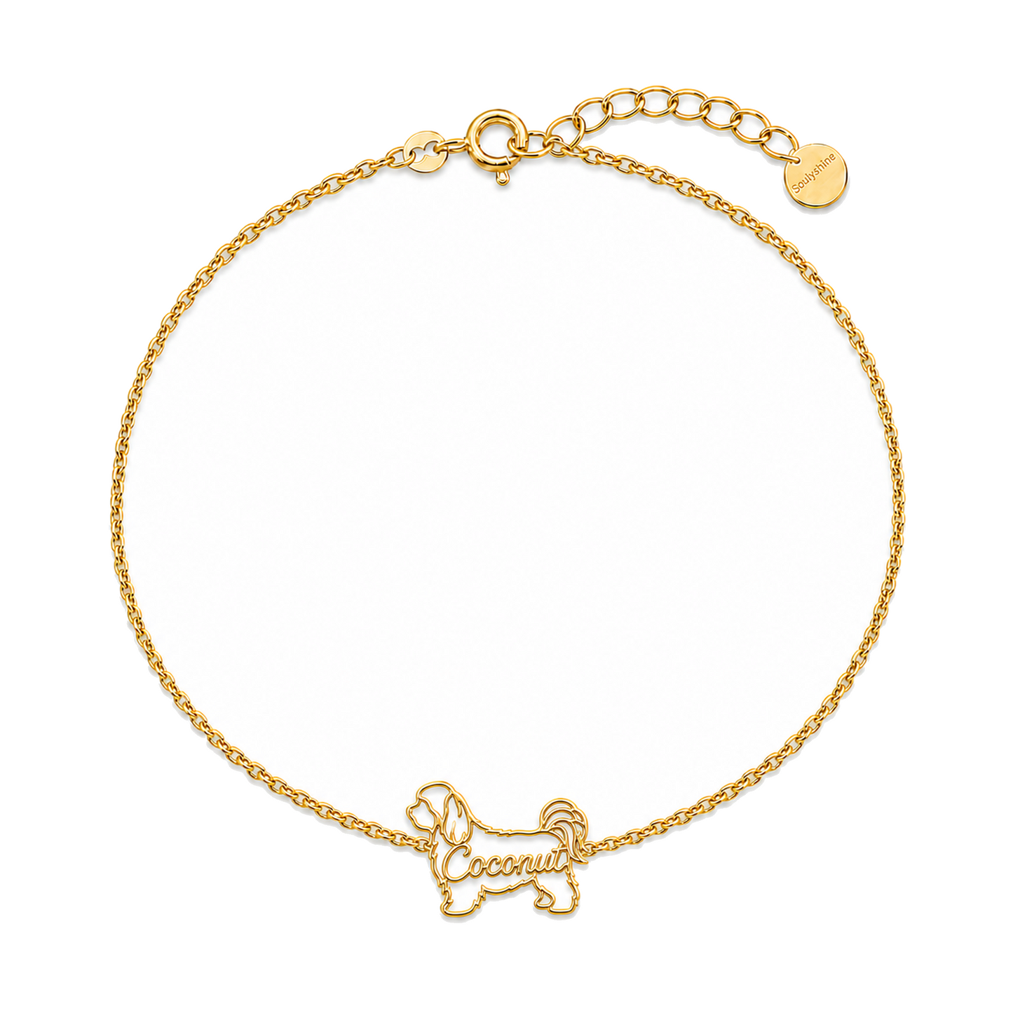 Havanese_Coconut_Gold.png